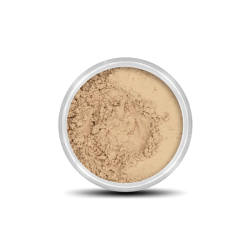 Skin Fix concealer Medium