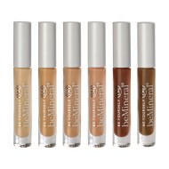beMineral Perfect Cover Concealer